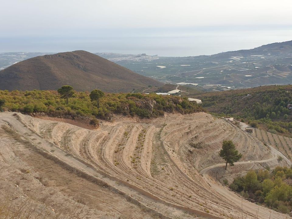 Helårsgrund i Molvizar, Granada - foto 3