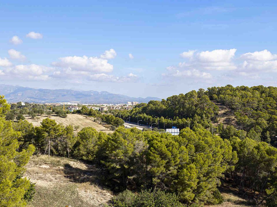 Villa i Palma De Mallorca, Mallorca - foto 3