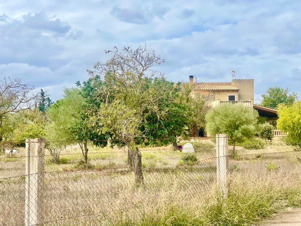 Cortijo i Inca, Mallorca - foto 5