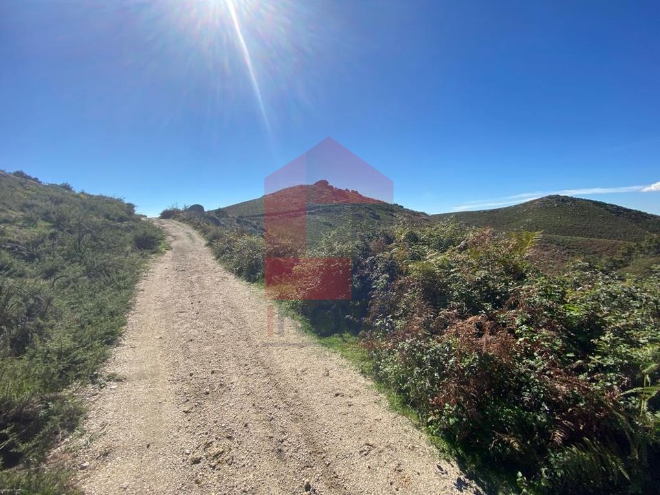 Helårsgrund i Vila Verde, Braga - foto 4