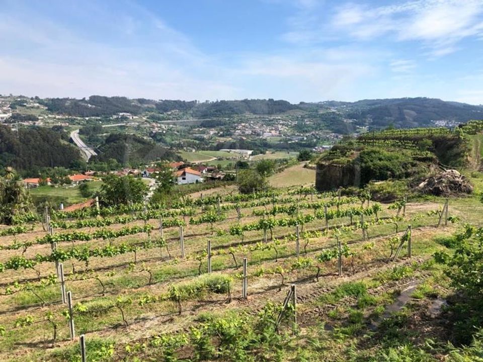 Farm i Tabuadelo e Sao Faustino, Braga - foto 2
