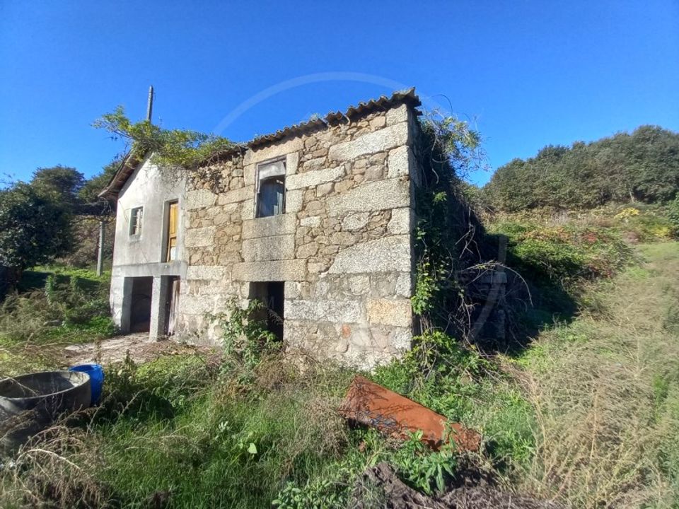 Farm i Tabuadelo e Sao Faustino, Braga - foto 4