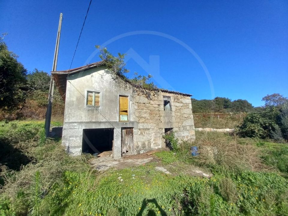 Farm i Tabuadelo e Sao Faustino, Braga - foto 3