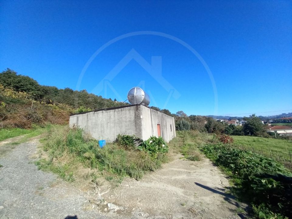 Farm i Tabuadelo e Sao Faustino, Braga - foto 5