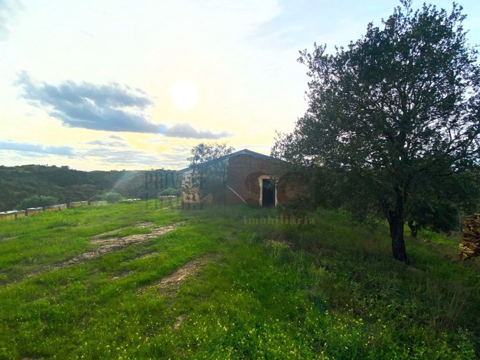 Farm i Vila Nova de Sao Bento e Vale de Vargo, Beja - foto 4