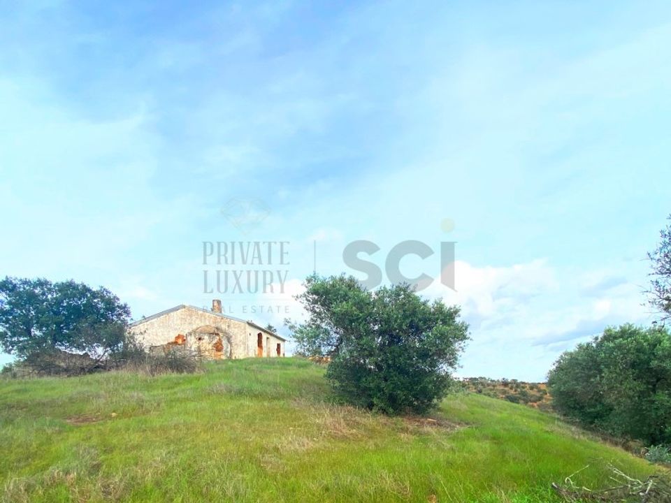 Farm i Vila Nova de Sao Bento e Vale de Vargo, Beja - foto 3