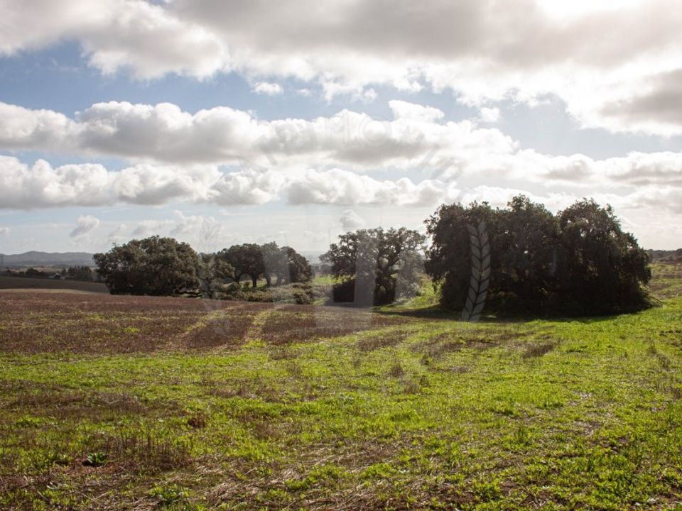 Helårsgrund i Cercal do Alentejo, Setubal - foto 4