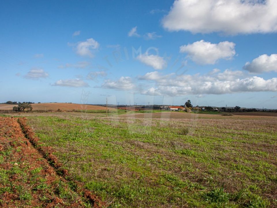 Helårsgrund i Cercal do Alentejo, Setubal - foto 5