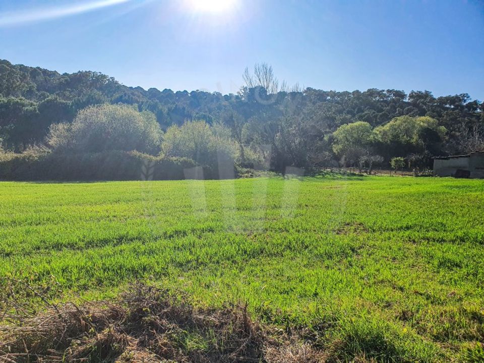 Helårsgrund i Aldeia de Sao Luis, Beja - foto 4