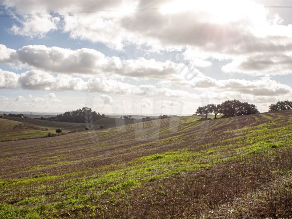 Helårsgrund i Aldeia de Sao Luis, Beja - foto 1