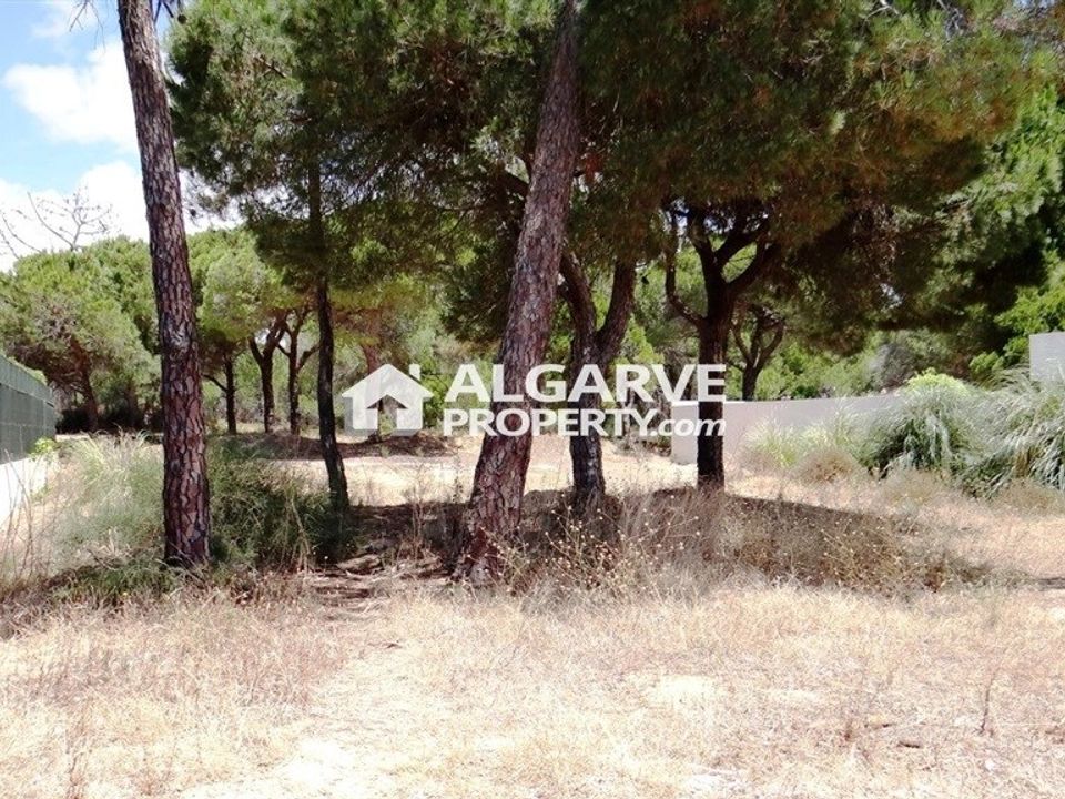 Helårsgrund i Almancil, Faro - foto 4