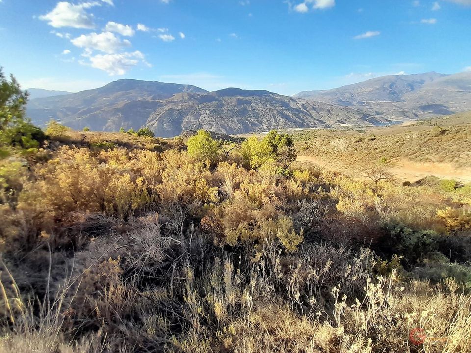Helårsgrund i Velez De Benaudalla, Granada - foto 1