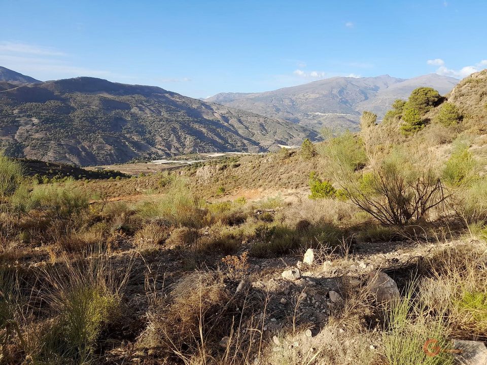Helårsgrund i Velez De Benaudalla, Granada - foto 3