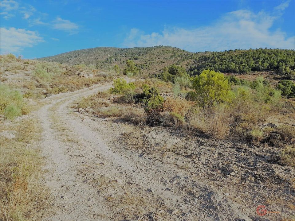 Helårsgrund i Velez De Benaudalla, Granada - foto 4
