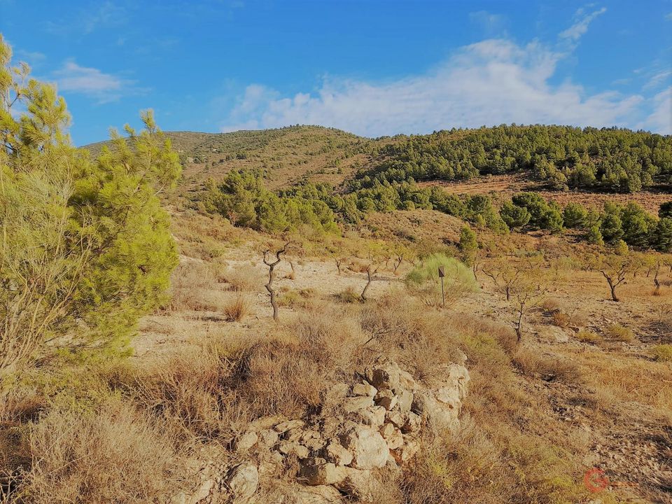 Helårsgrund i Velez De Benaudalla, Granada - foto 5
