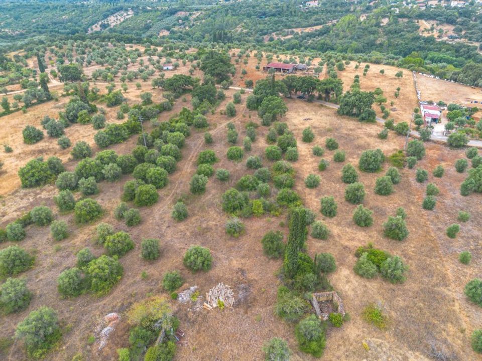 Helårsgrund i Torres Novas, Santarem - foto 3