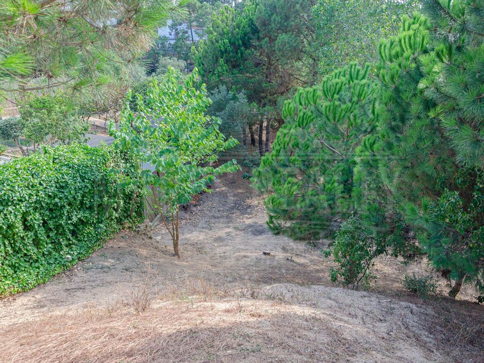 Helårsgrund i Lloret De Mar, Gerona - foto 5