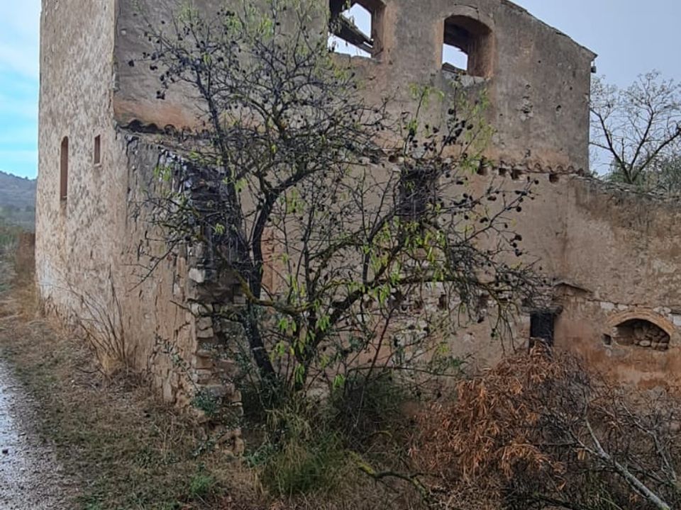 Finca i Corbera D'ebre, Tarragona - foto 1