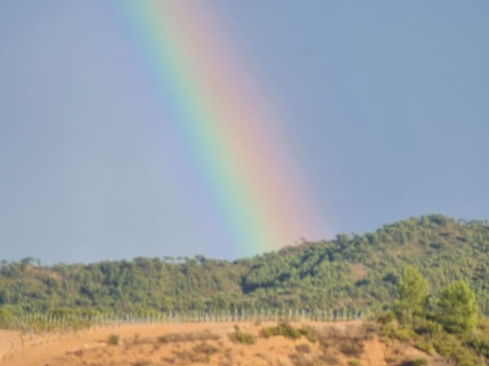 Finca i Corbera D'ebre, Tarragona - foto 3