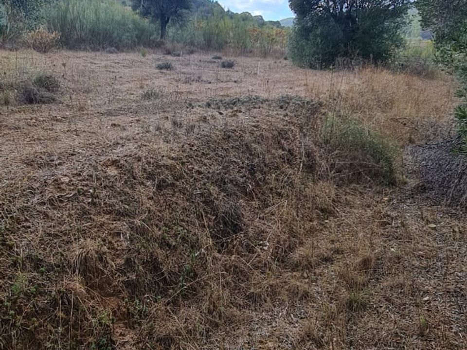Finca i Corbera D'ebre, Tarragona - foto 4