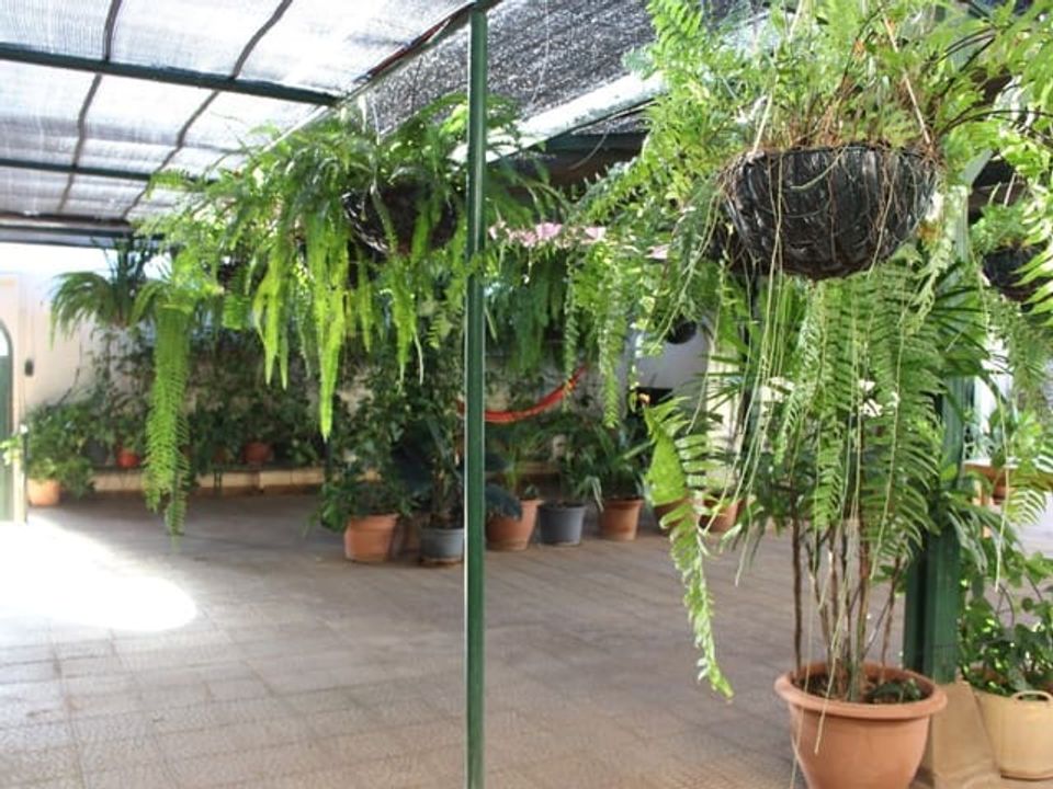 Villa i San Isidro De Abona, Tenerife - foto 3