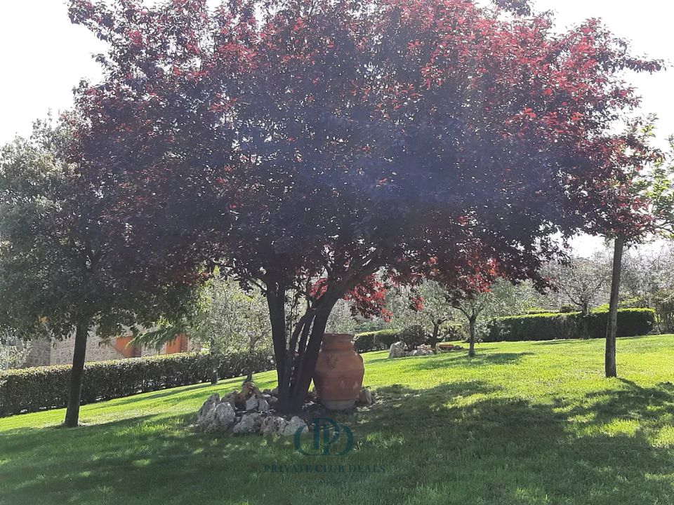 Villa i Sinalunga, Siena - foto 4