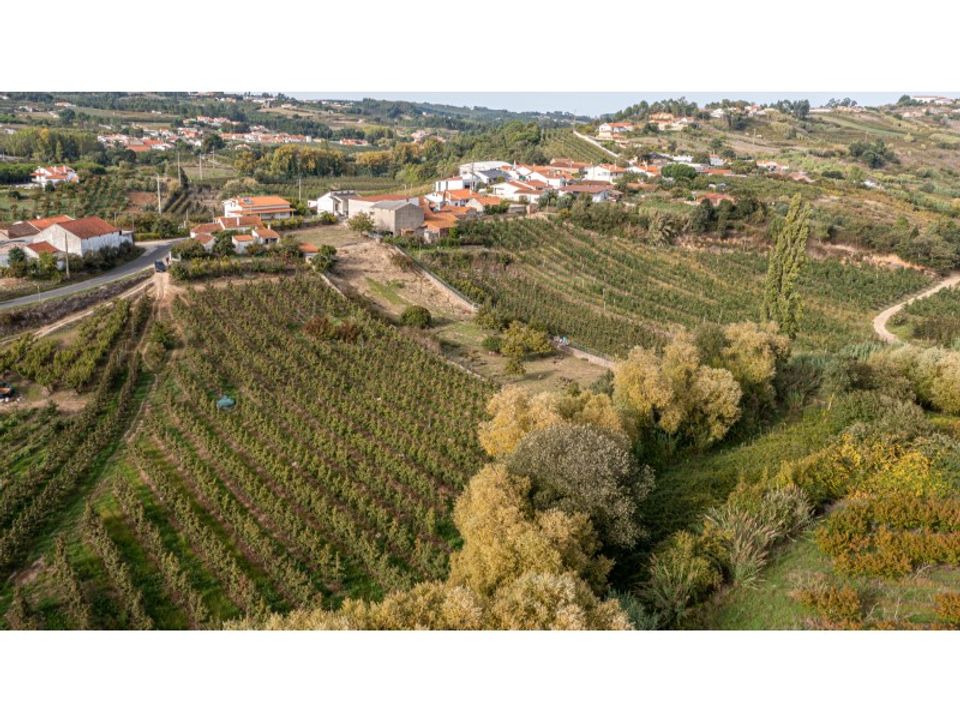 Helårsgrund i Alcobaca, Leiria - foto 1