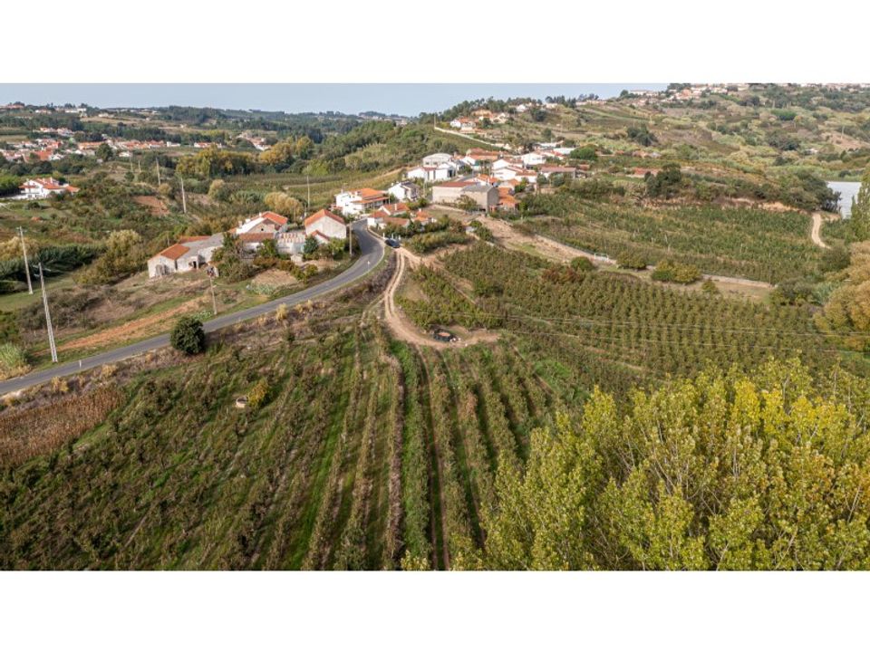 Helårsgrund i Alcobaca, Leiria - foto 3