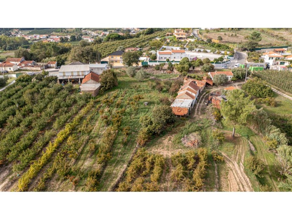 Helårsgrund i Alcobaca, Leiria - foto 2