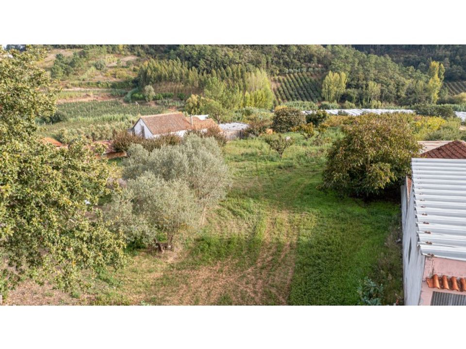 Helårsgrund i Alcobaca, Leiria - foto 3