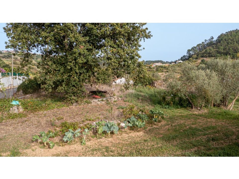Helårsgrund i Alcobaca, Leiria - foto 4