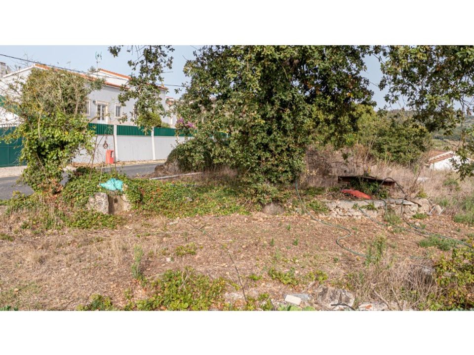 Helårsgrund i Alcobaca, Leiria - foto 5