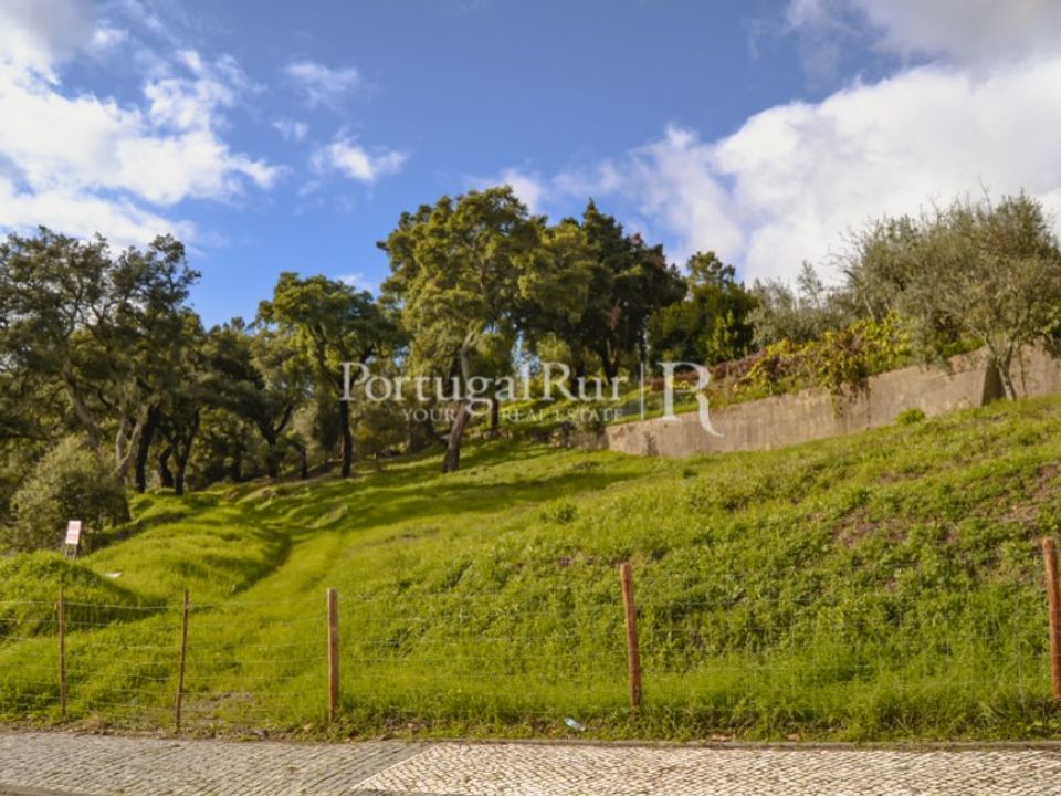 Terreno en Proenca-a-Nova, Castelo Branco - foto 1