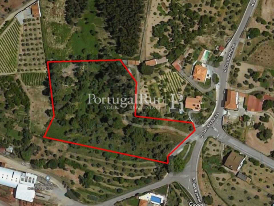 Terreno en Proenca-a-Nova, Castelo Branco - foto 2