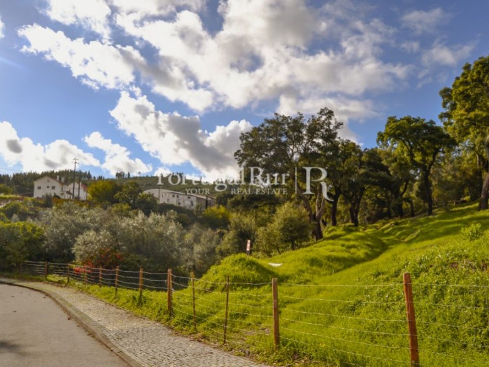 Terreno en Proenca-a-Nova, Castelo Branco - foto 4