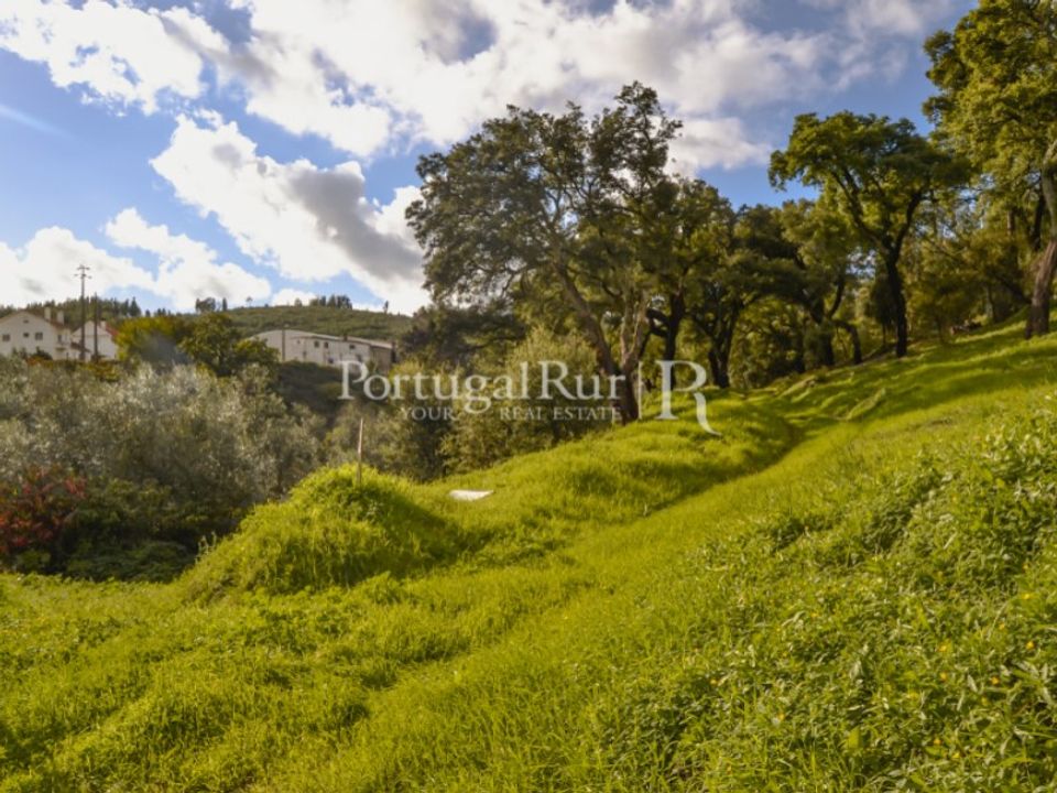 Terreno en Proenca-a-Nova, Castelo Branco - foto 5