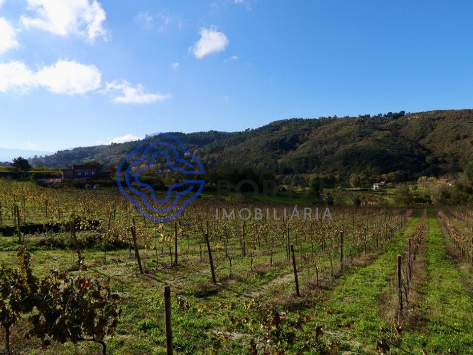 Helårsgrund i Baiao, Porto - foto 1