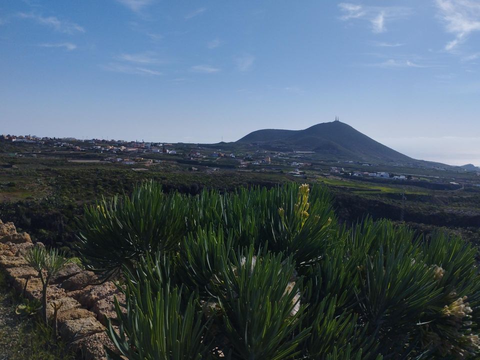 Helårsgrund i San Miguel De Abona, Tenerife - foto 3