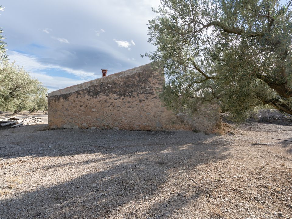Finca i Roquetes, Tarragona - bilde 2