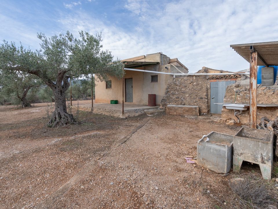 Finca i Xerta, Tarragona - foto 3