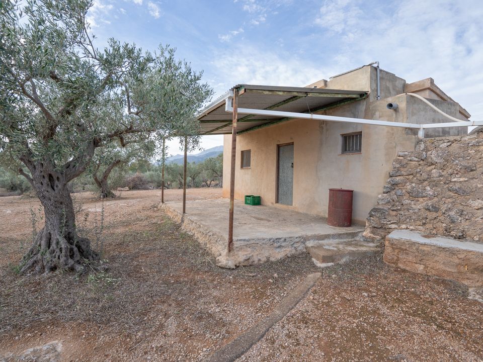 Finca i Xerta, Tarragona - foto 4