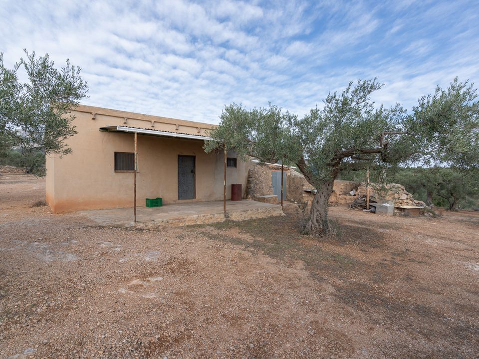 Finca i Xerta, Tarragona - foto 2