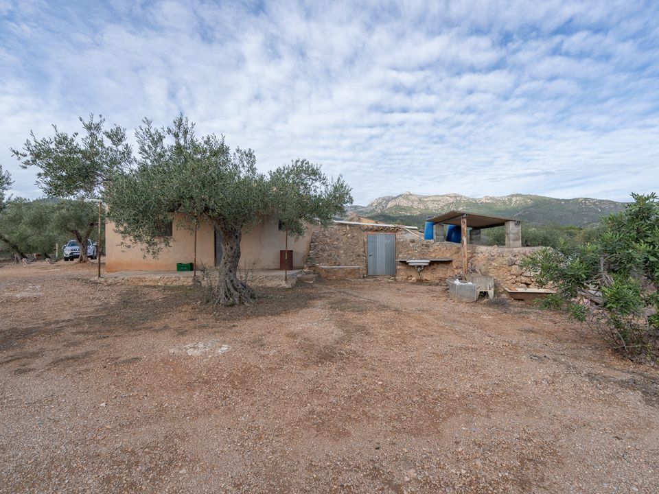 Finca i Xerta, Tarragona - foto 5