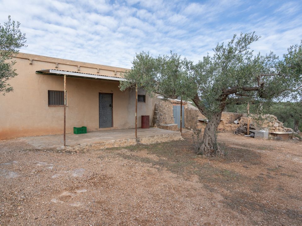 Finca i Xerta, Tarragona - foto 1