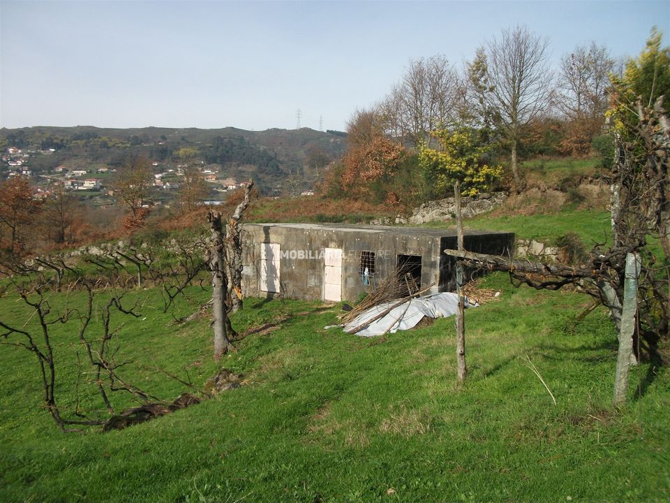 Helårsgrund i Baiao, Porto - foto 3