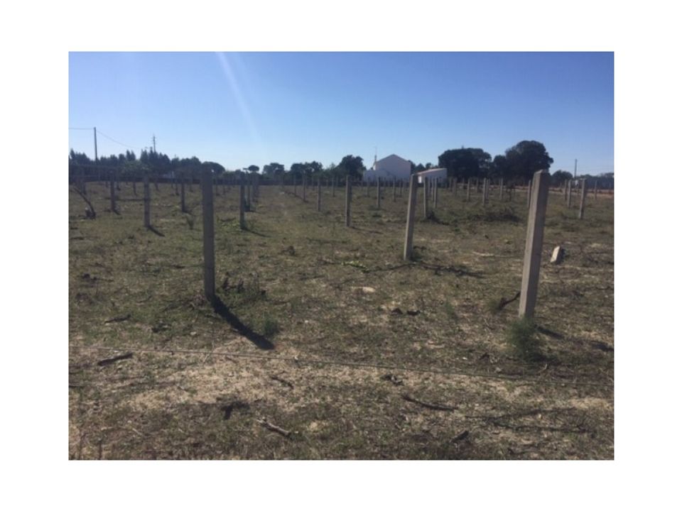 Helårsgrund i Santo Andre, Setubal - foto 2