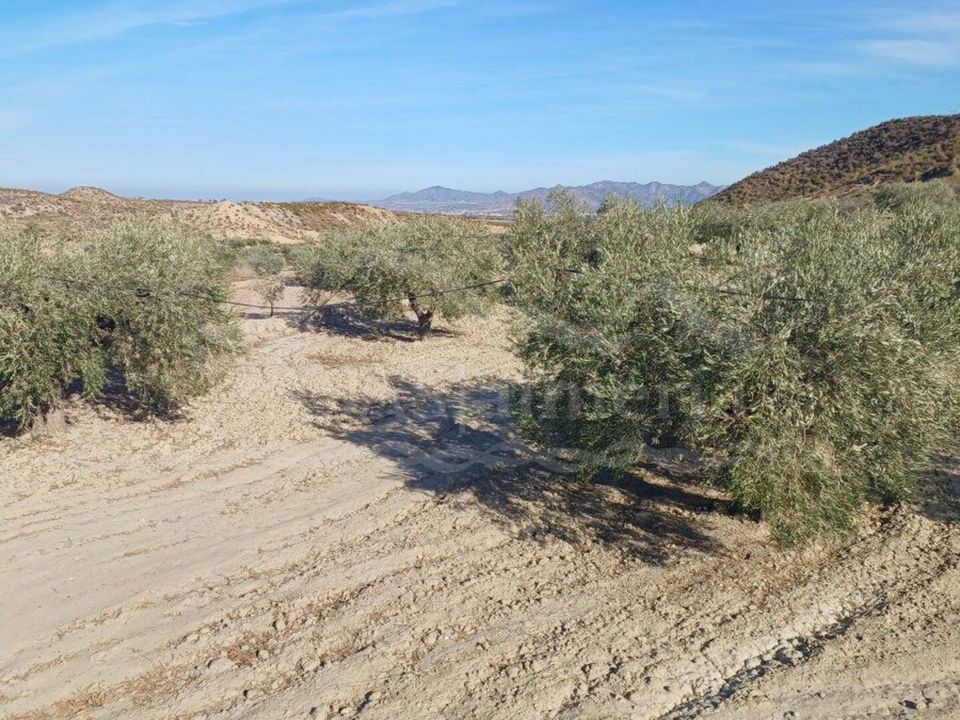 Helårsgrund i Zurgena, Almeria - foto 1
