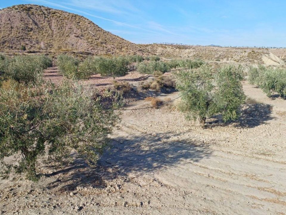 Helårsgrund i Zurgena, Almeria - foto 2