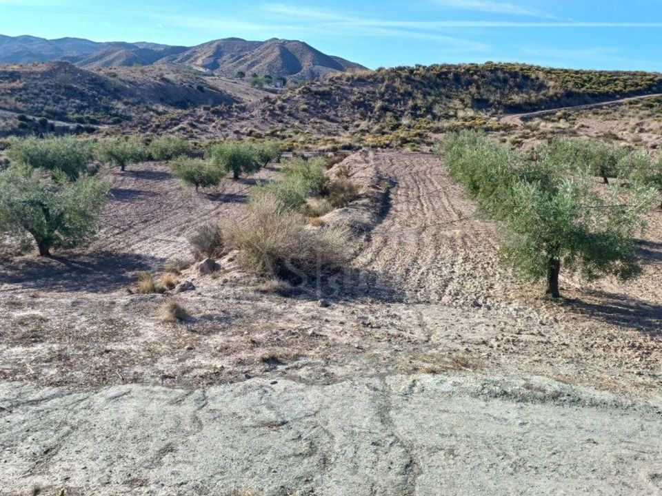 Helårsgrund i Zurgena, Almeria - foto 3
