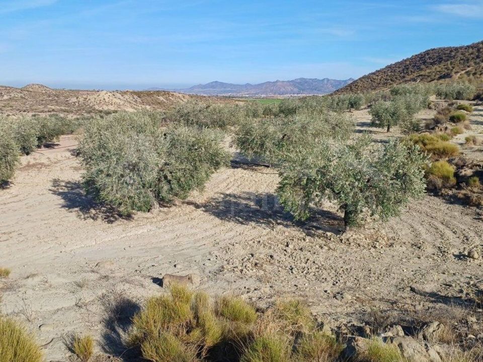 Helårsgrund i Zurgena, Almeria - foto 4
